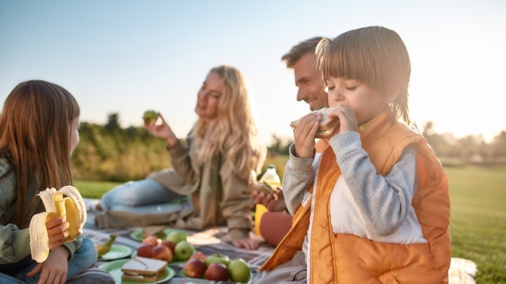 Familie picknickt